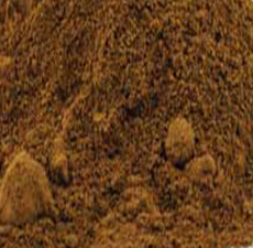 FO-TI ROOT POWDER